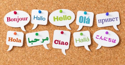 Harga Penerjemah Tersumpah Bahasa Arab
