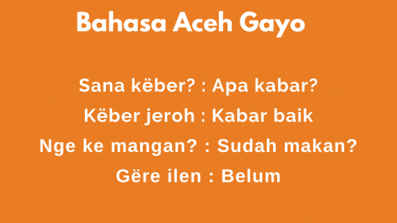 Translate Bahasa Aceh Gayo